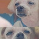 헐
