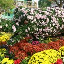 영암기찬랜드 이미지