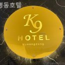 K9명동호텔 | 광화문호텔 K9명동호텔 커플여행