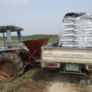 황소농장 이미지