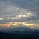 석양 속 생명의 날 이미지