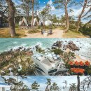 원전카인테리어 | 부산 인테리어 사진촬영 후기, 오션뷰 감성숙소 더무빙 카라반, 신준식미디어