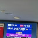 연식 | 상하이 아시아나 OZ361 특별기내식 글루텐제한식, 연식(저자극식) 후기 / 오른쪽 창가석 / 에어버스A321