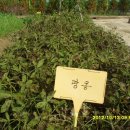 김정기농장 이미지