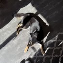 사직북로63번길 네이버블로그