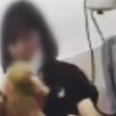 서울애견미용실 이미지