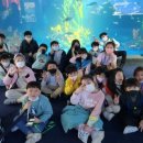 e편한 아이사랑 태권도 이미지