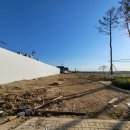 지에스약국 이미지