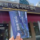 [대구가볼만한곳] 판다100 전시회 &amp; 이월드 자유이용권 할인꿀팁