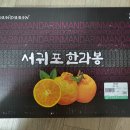 [영월여행] 캠핑 장보기 딱인 주천 한반도농협하나로마트