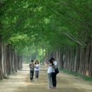2024 남도에서 한 달 여행하기 in 화순