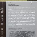 조경 선생 묘 이미지
