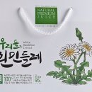 토종흰민들레식품 이미지