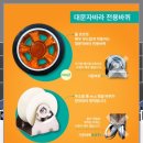 동아하이테크자바라 네이버블로그