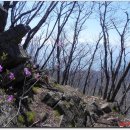 인산목장 이미지