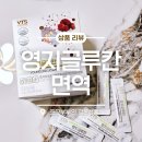 영지버섯 베타글루칸 담은 비타스프링 메타 프로바이오틱스 솔직 후기