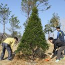 벌교숲공원 이미지