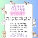 호텔 델루멍 이미지