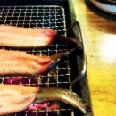 싱싱민물장어세상 이미지