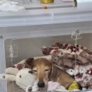 재이웰스 이미지