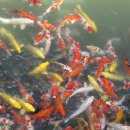 시민공원 남문 이미지