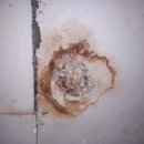 만덕2동-2 이미지