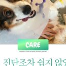 예은동물의료센터 이미지