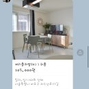 제리블라썸 | 홍대 게스트하우스 제리블라썸 101호 1박 후기