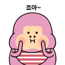 단콩