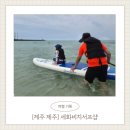 세화비치 | [제주 제주] 세화비치서프샵 제주 패들보드 체험 후기