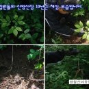 산야유통 이미지