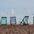 진인한의원 이미지