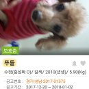 펫 앤 쉘터 동물병원 이미지