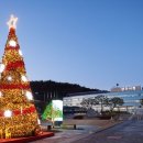 보도중로2-5 데일리안