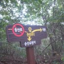 광산구-151 Daum카페