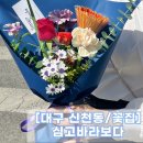 심고;바라보다 이미지