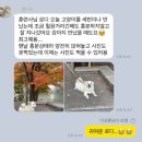 생활 속 재테크 | 용인 강아지 훈련 수지구 방문훈련으로 달라진 10살 반려견 짖음 분리불안 교육 후기