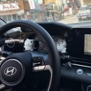 양이양 멍이군 이미지