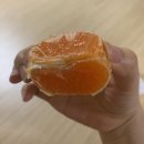 종남농장 이미지