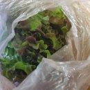 다성왕족발보쌈 이미지