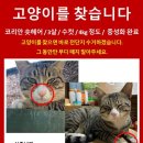 금강종합동물병원 이미지