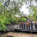 독자유원지 이미지