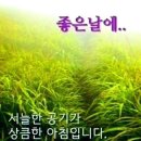 우리집에 남아있는 꽃들 이미지