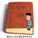 6월 성경읽기 입니다(안창호 신부) 이미지