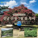 연꽃불교마을 | 산청 꽃여행 추천 3곳, 수선사부터 숨은 목수국 명소까지 실시간 후기