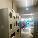 에스투짐 이미지