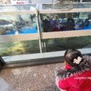 에프에프코인노래연습장 이미지