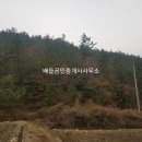 곰솔부동산공인중개사사무소 이미지