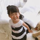 지영박컬렉션 이미지