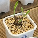 소나농장 이미지